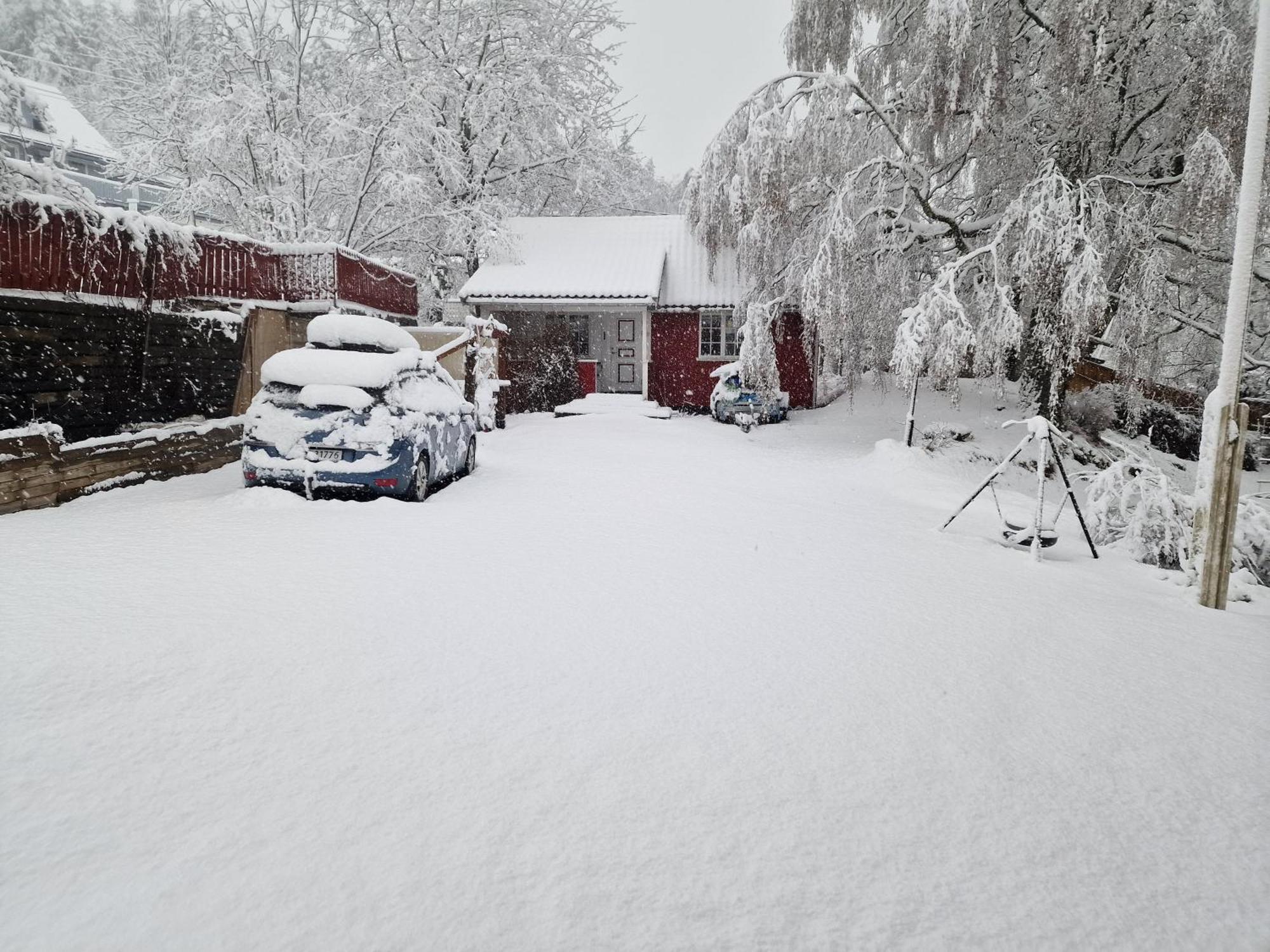 Vila Koselig Anneks I Heggedal! Asker Exteriér fotografie